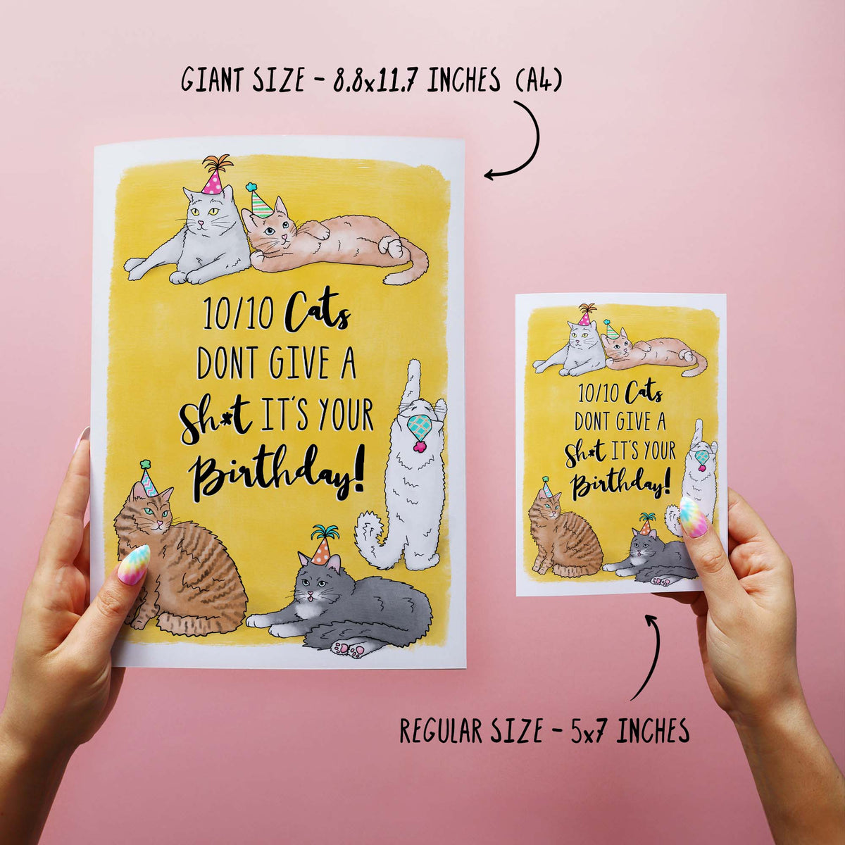 : bhiosng happy birthday card for cat lover, funny... Funny Birthday Card Gift for Cat Mom or Cat Dad | Birthday Messages For ...